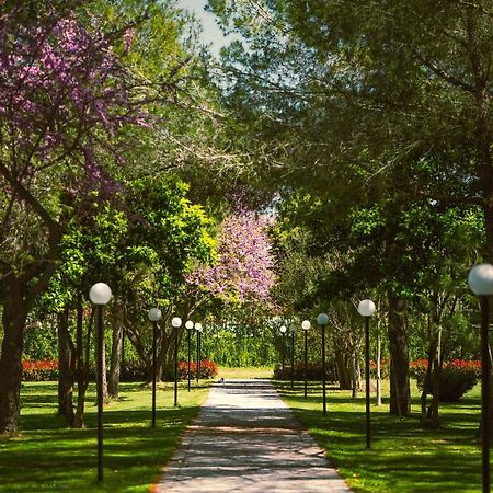 Green Park Divjake Ngoại thất bức ảnh