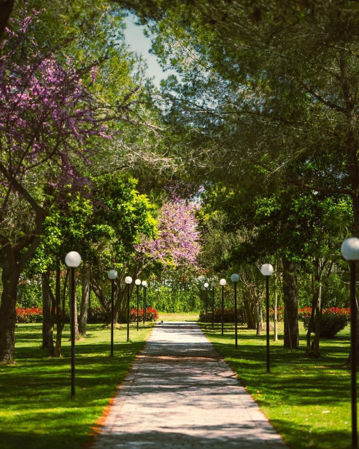 Green Park Divjake Ngoại thất bức ảnh