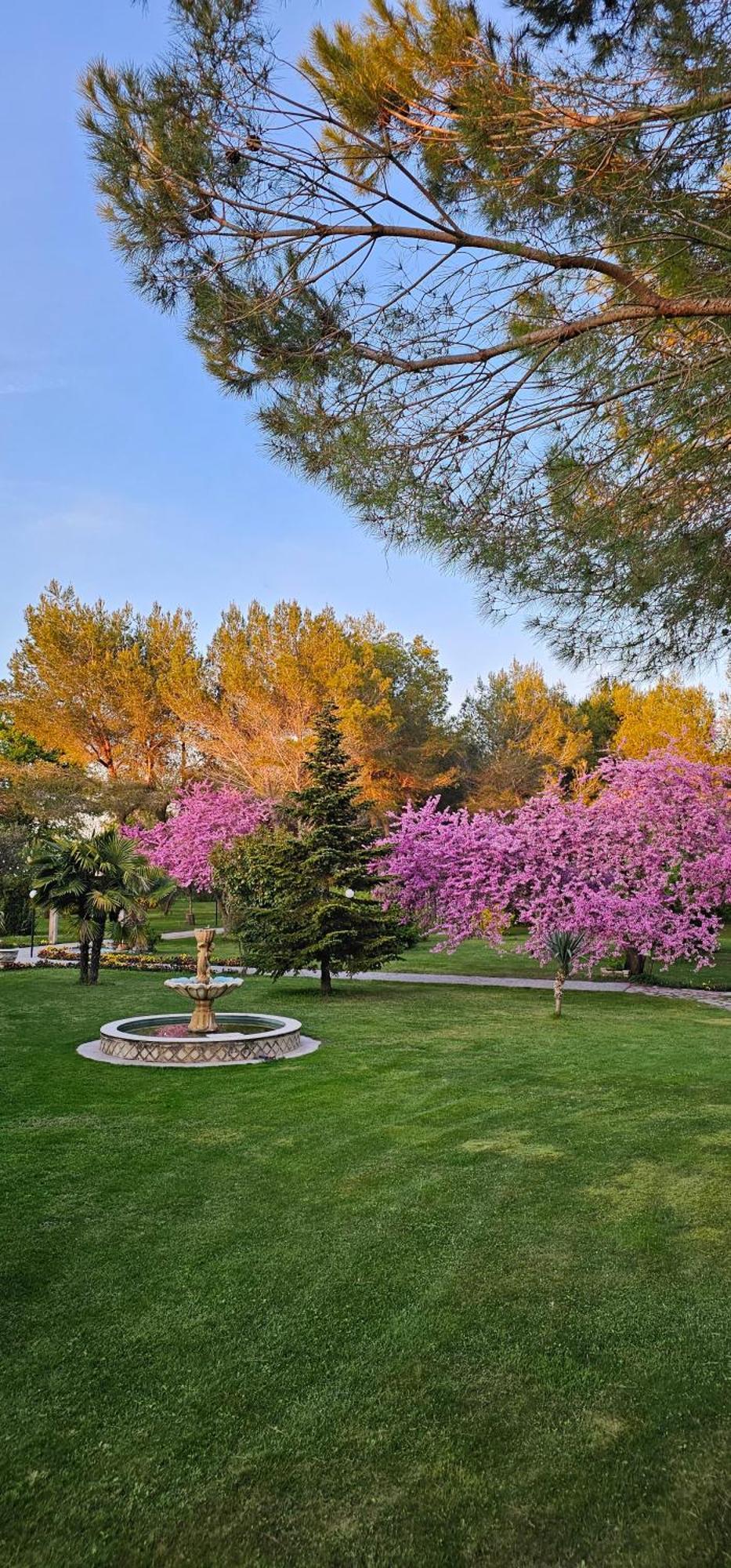 Green Park Divjake Ngoại thất bức ảnh