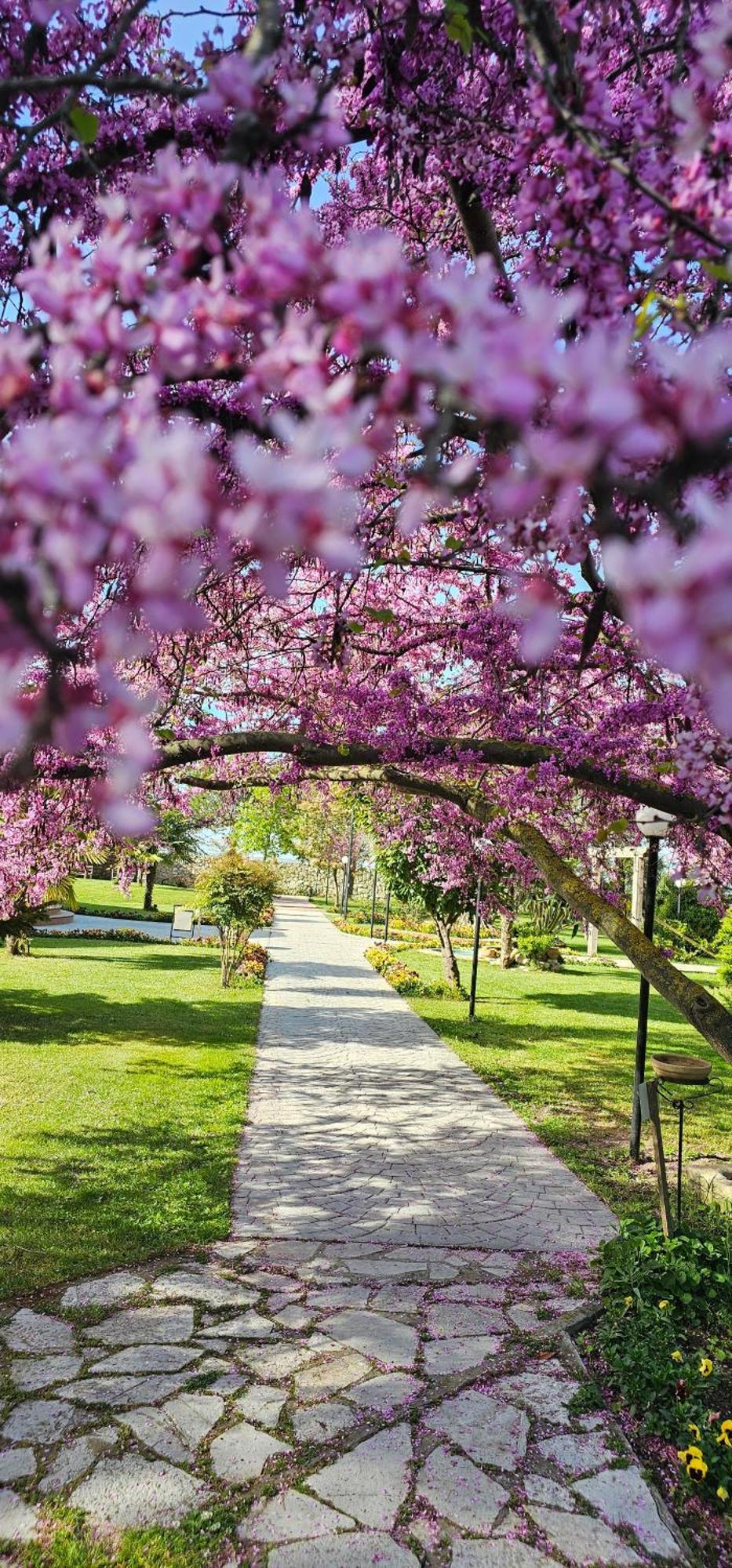 Green Park Divjake Ngoại thất bức ảnh